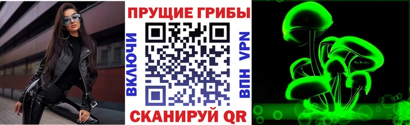 Галлюциногенные грибы прущие грибы  Вольск 